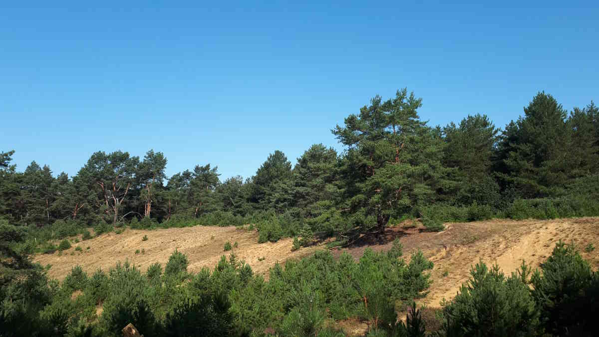 Sfeerfoto