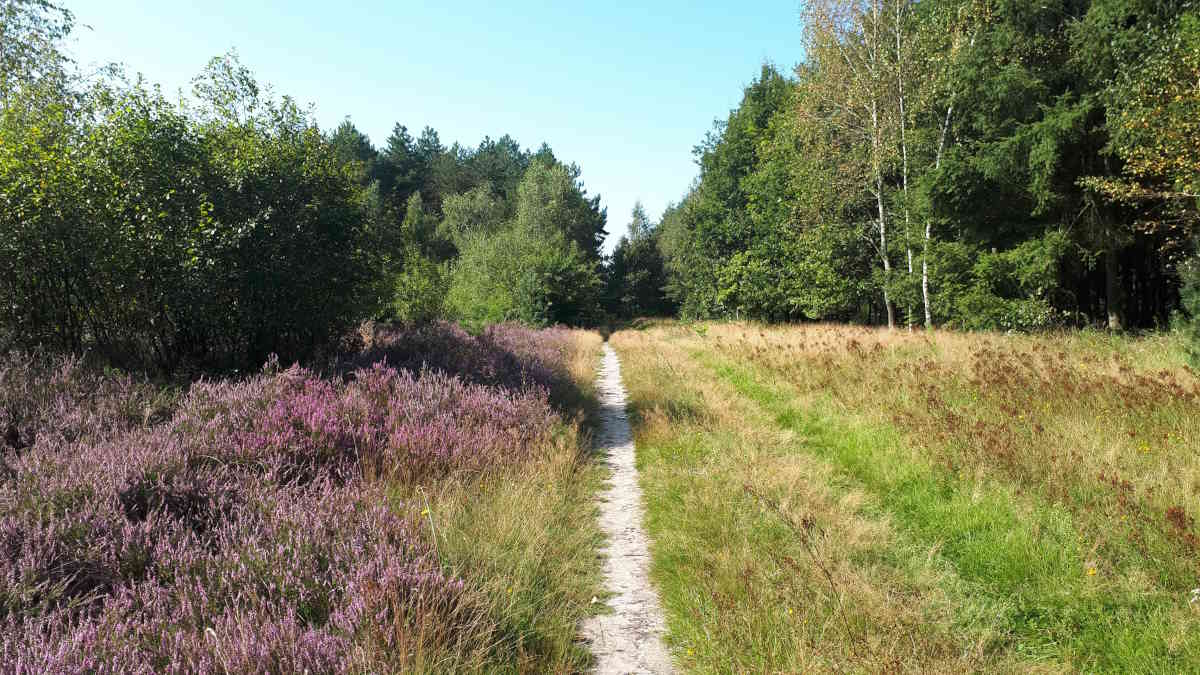 Sfeerfoto