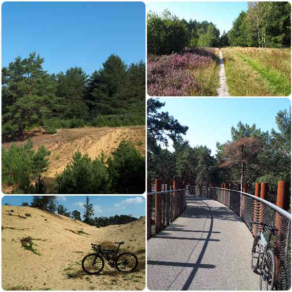 Sfeerbeeld van de route Bosland