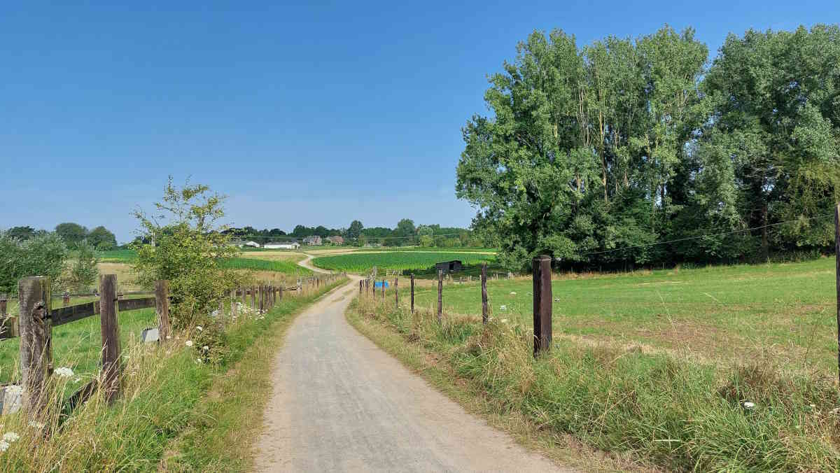 Sfeerfoto