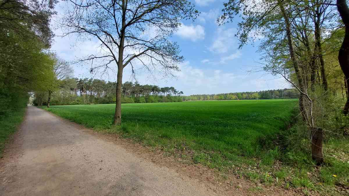 Sfeerfoto