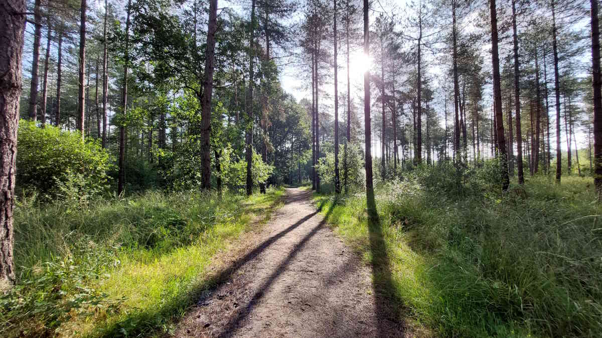 Sfeerfoto