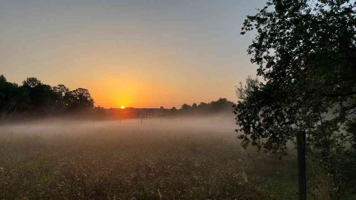 Sfeerfoto