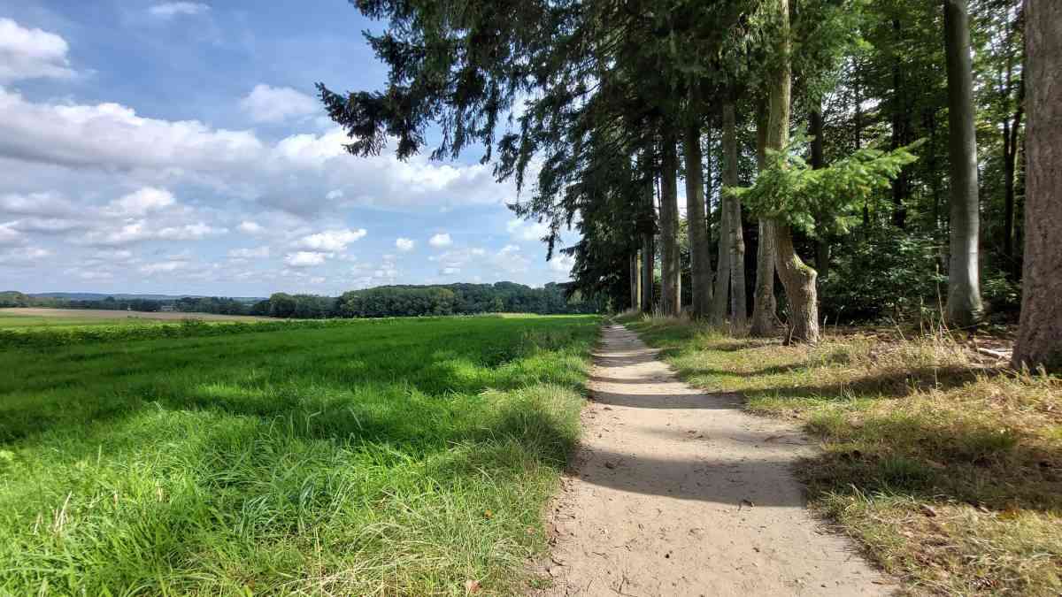 Sfeerfoto