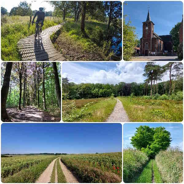 Sfeerbeeld van de route In en Rond Meerdaalwoud