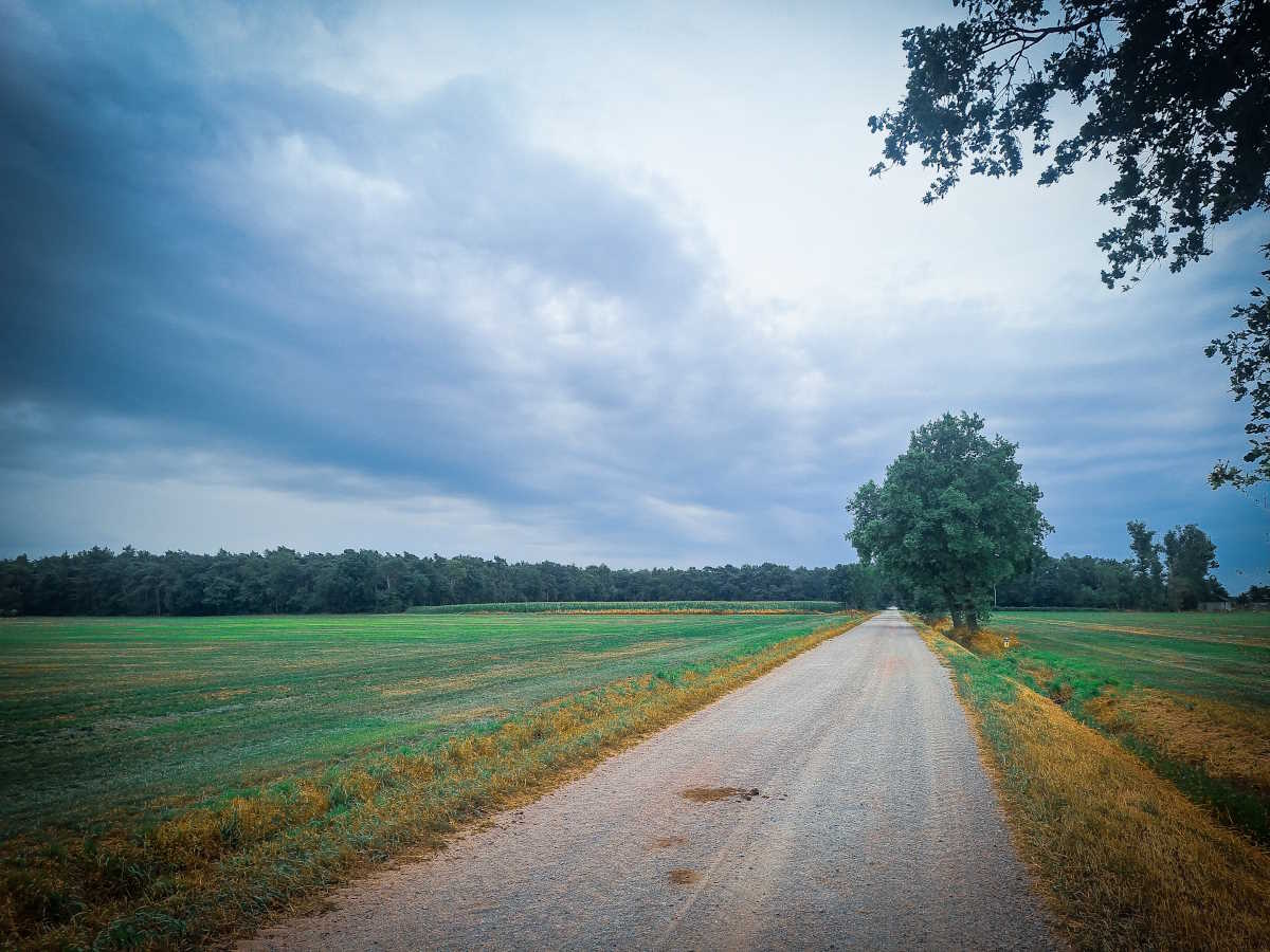 Sfeerfoto