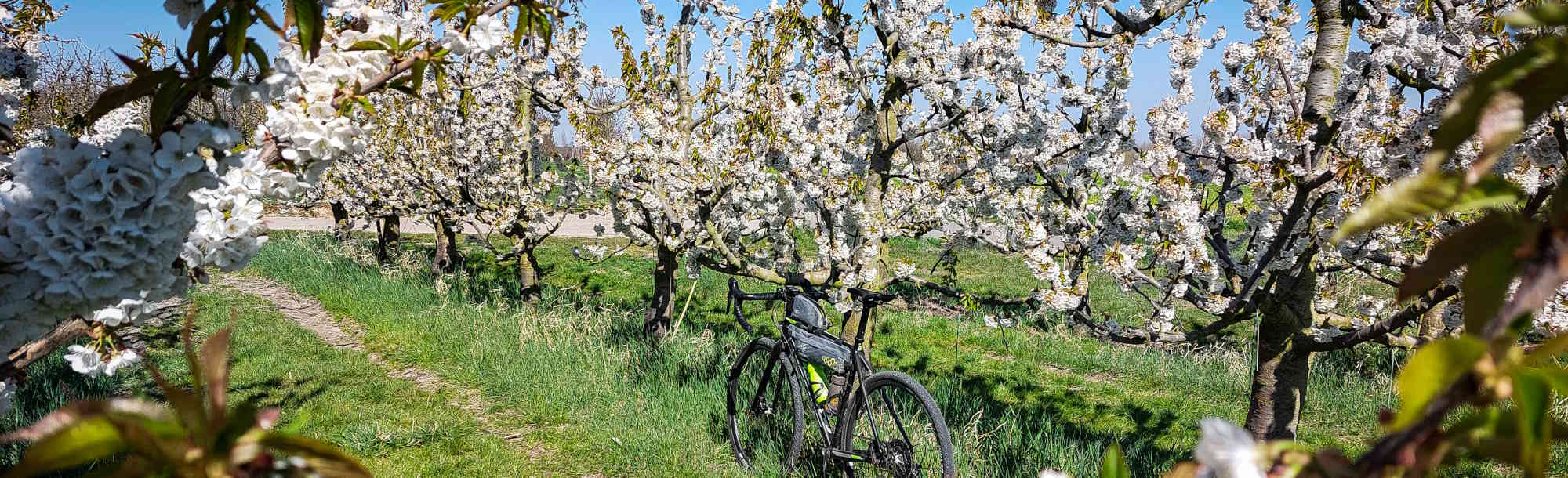 Header foto