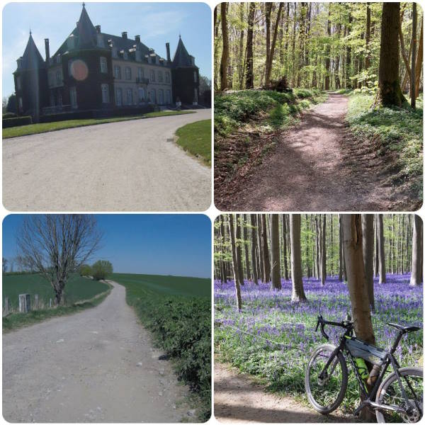 Sfeerbeeld van de route Zoniënwoud - Hallerbos