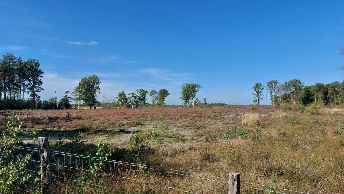Sfeerfoto