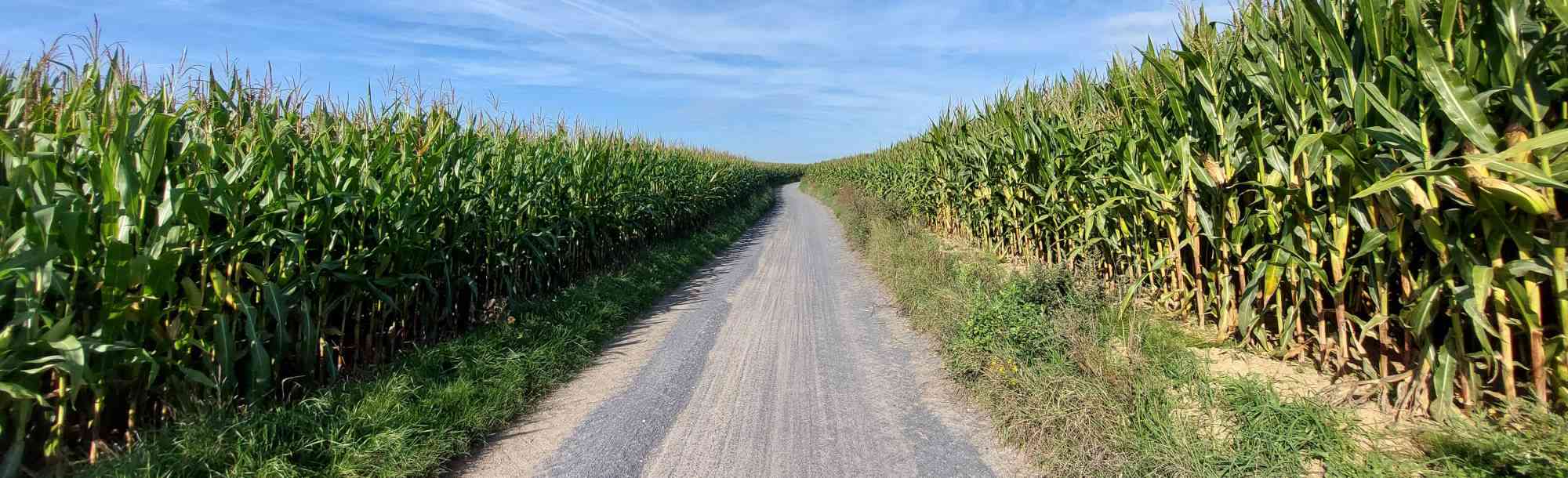 Gravelbiken in België